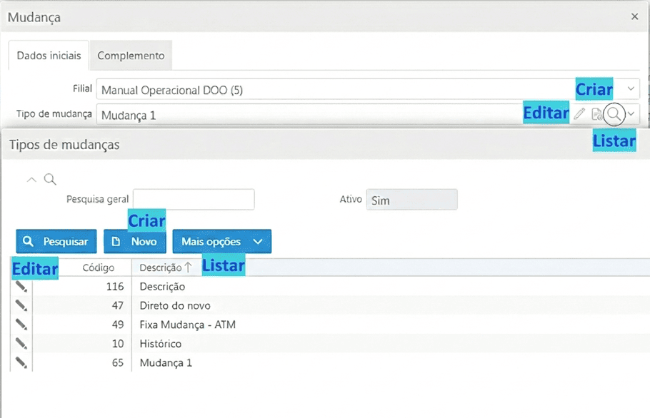 Glossário de Permissões - Gestão de Mudanças - Tipos de Mudanças